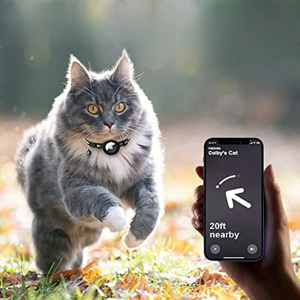 Cat wearing black GPS tracker collar with reflective design showing secure fit and visible tracker holder