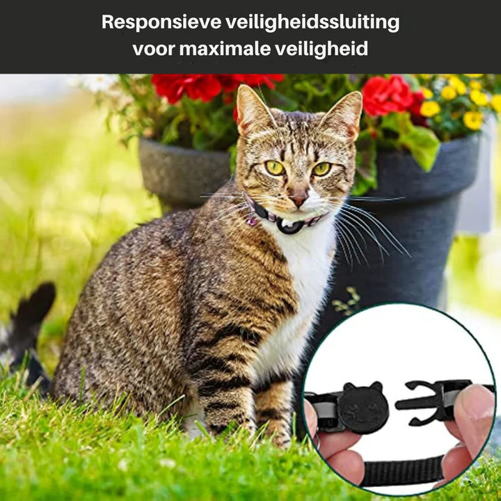 Side view of cat collar with integrated GPS tracker holder and quick-release closure mechanism