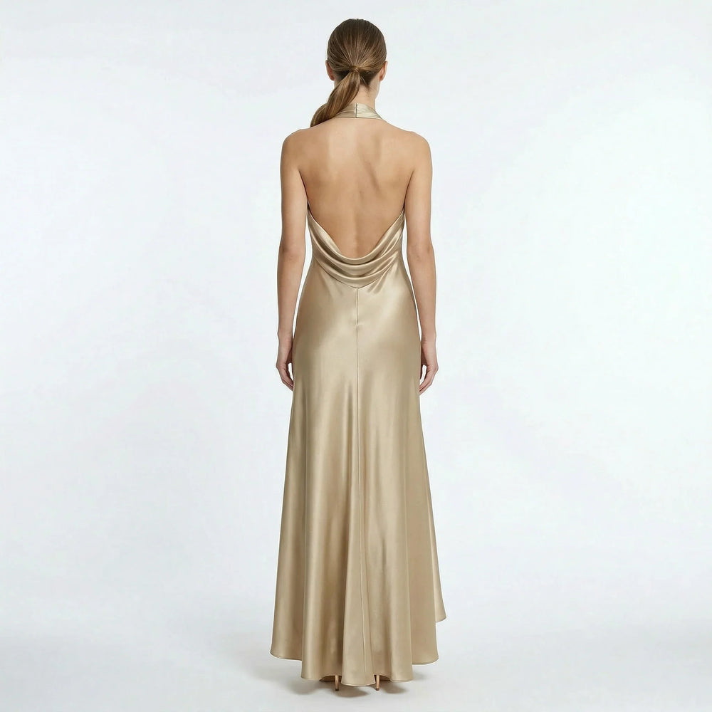Front view of halter neck maxi dress showing fitted bodice and flowing floor-length silhouette